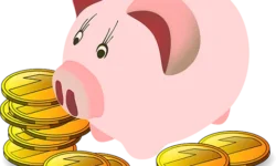 Students and Money: Taking On the Challenge of College